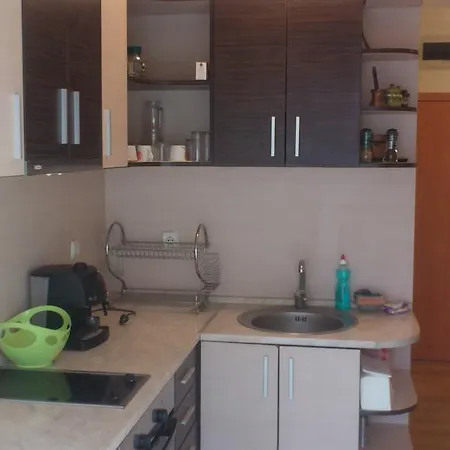 Violet Apartment Sunny Beach